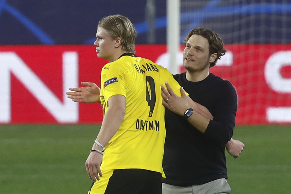 教练组的悉 教练组的悉